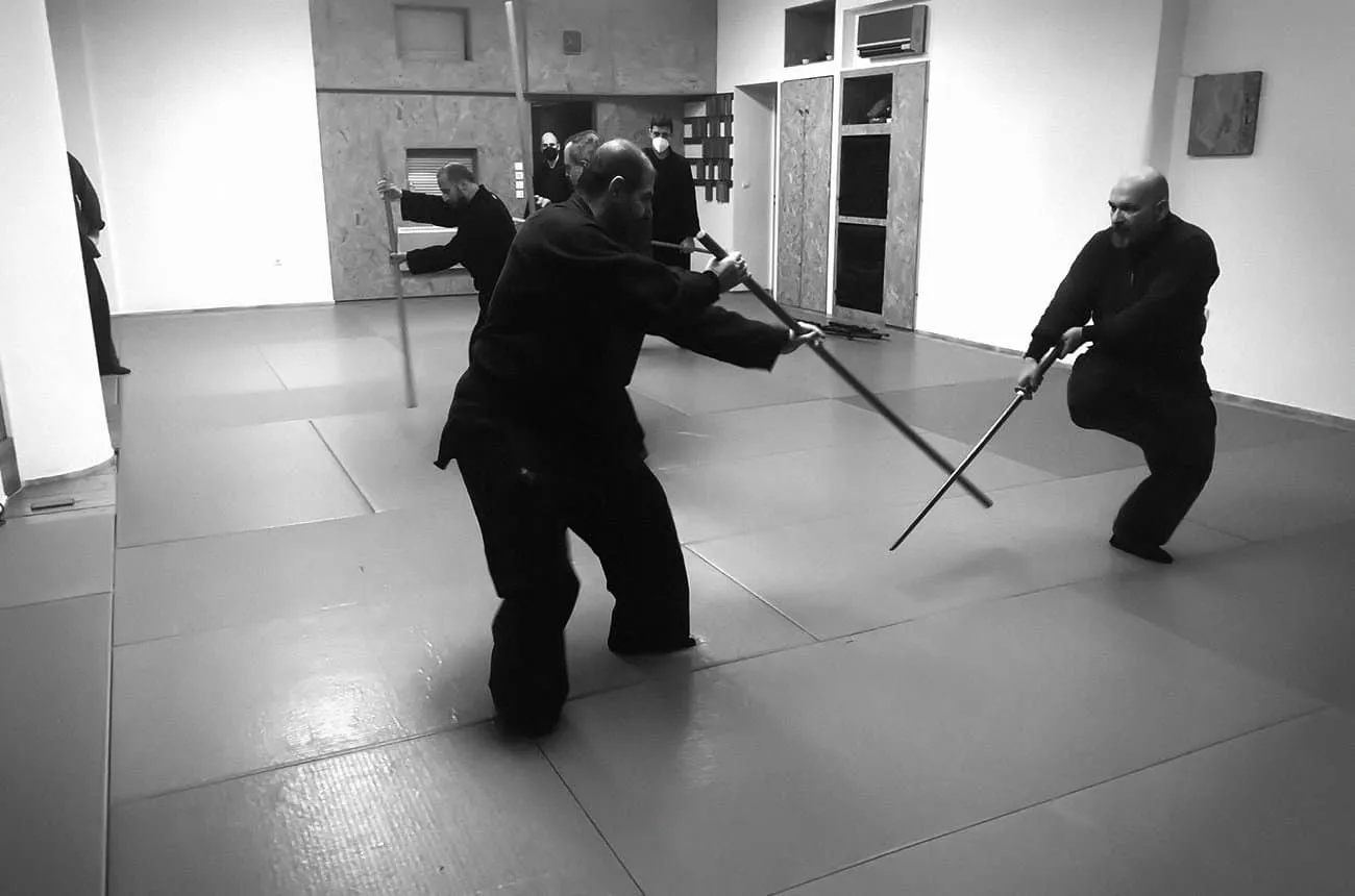 Bujutsukai training 1