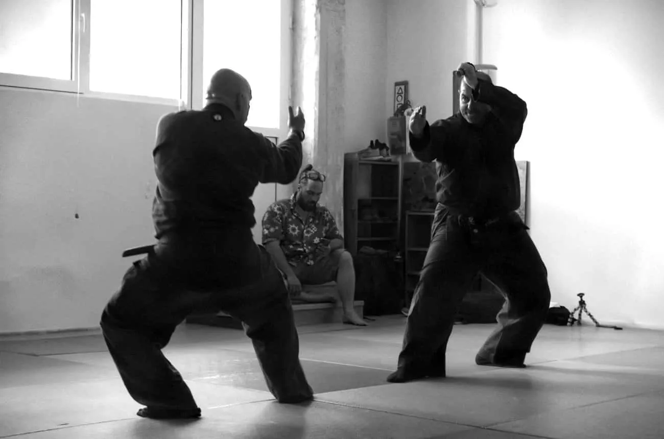 Bujutsukai training 2