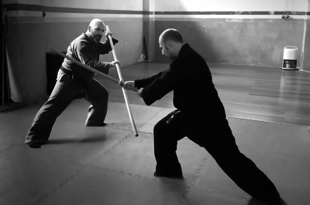 Bujutsukai training 3