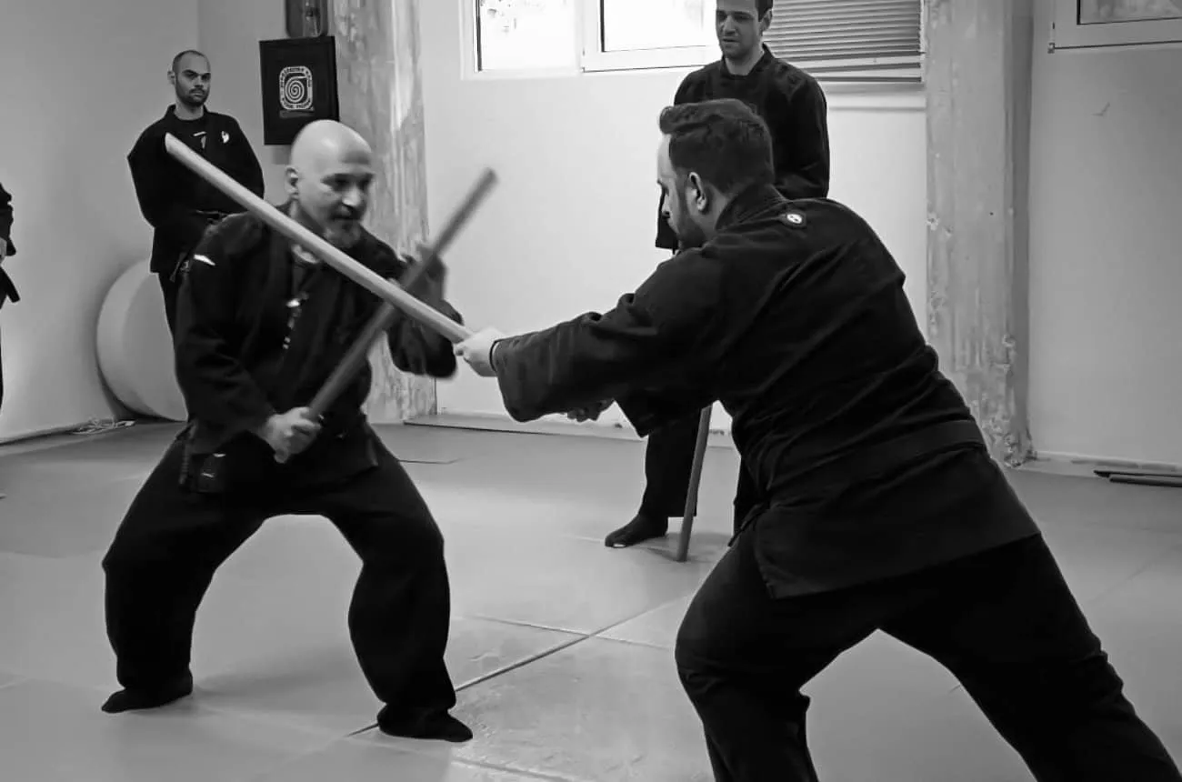 Bujutsukai training 4