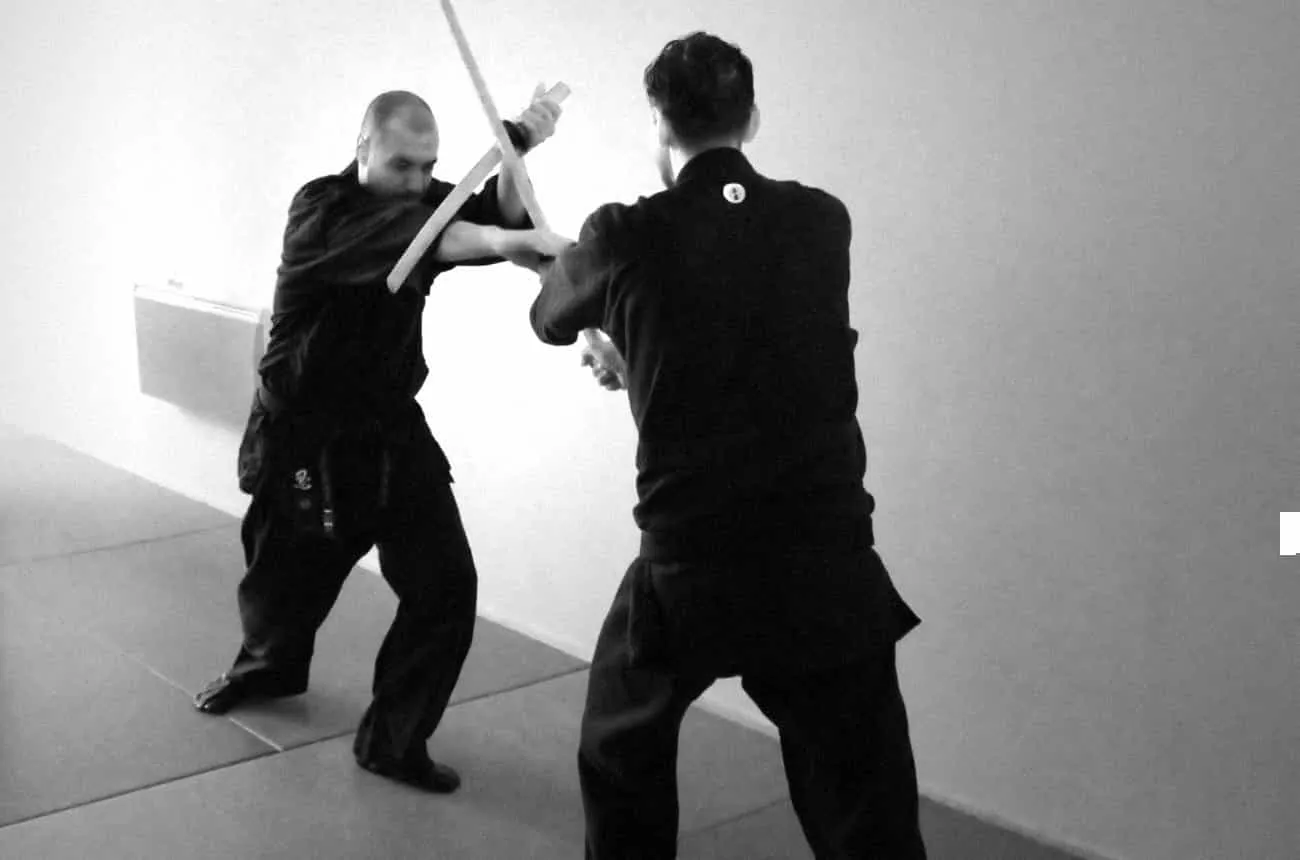 Bujutsukai training 6