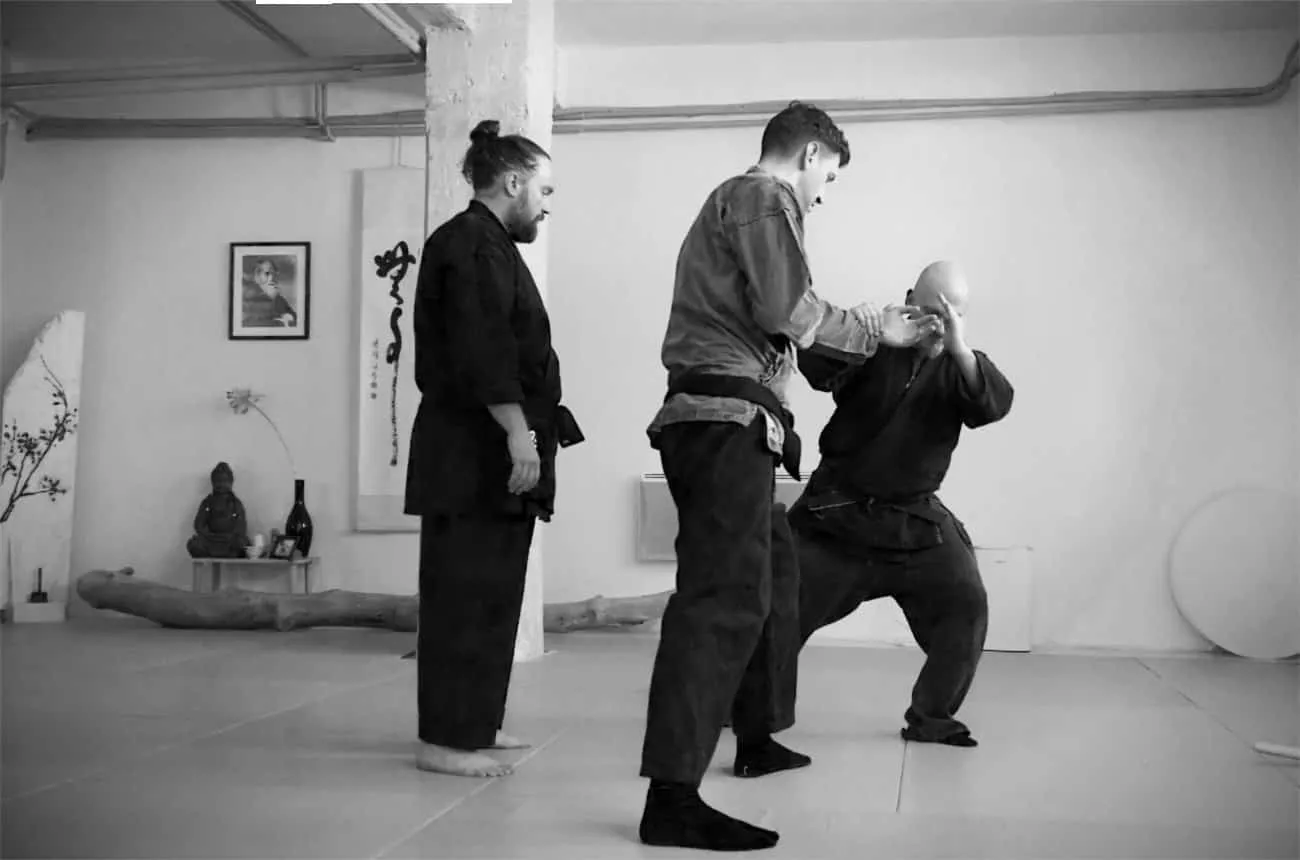 Bujutsukai training 7