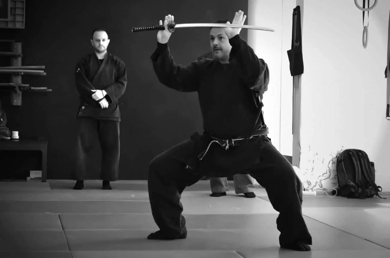 Bujutsukai training 8