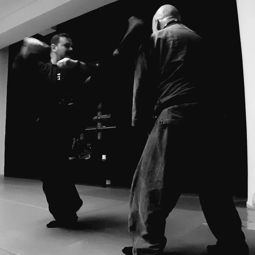 Bujutsukai training 10