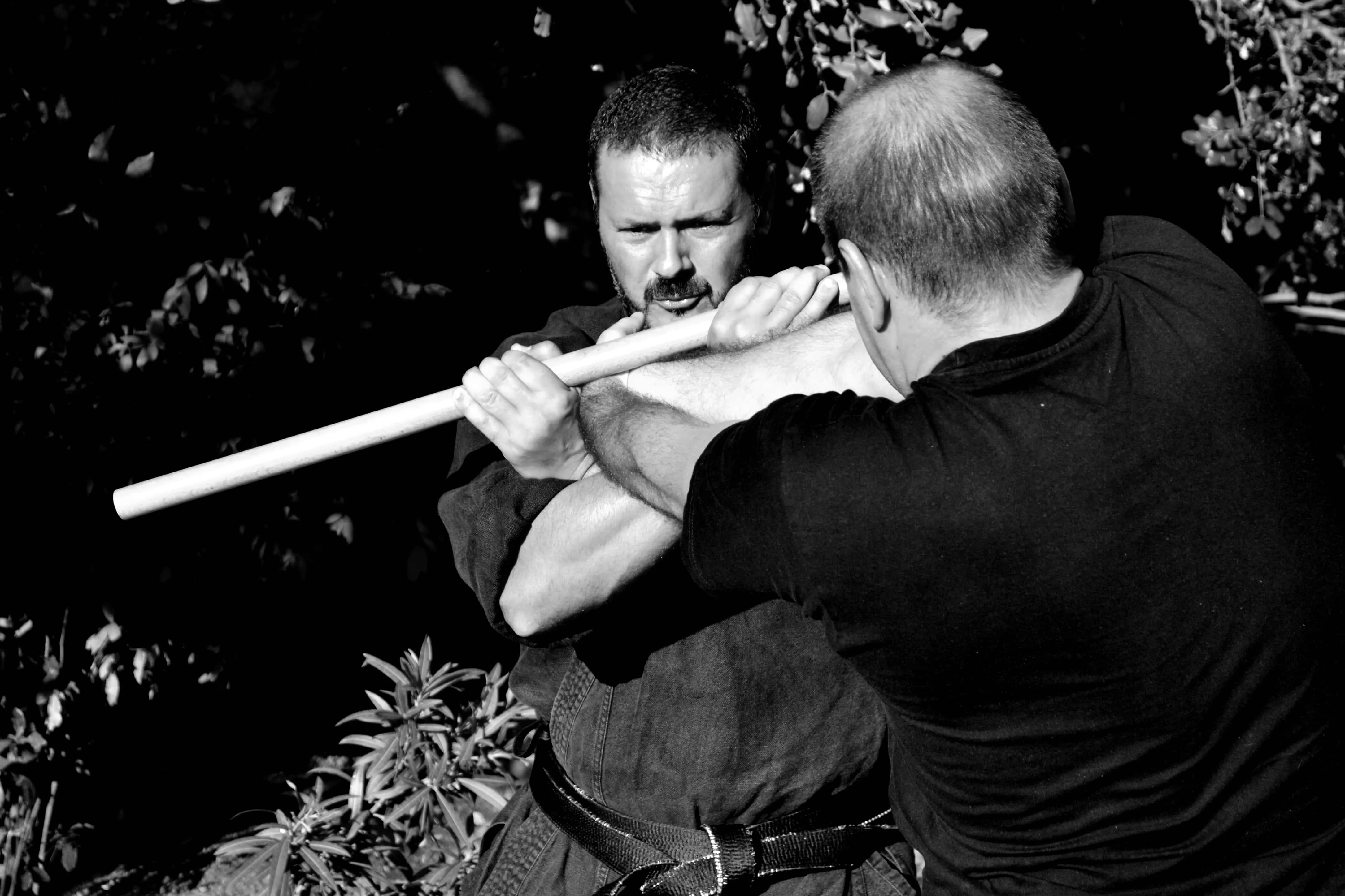 Bujutsukai training 11